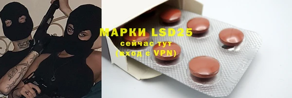 PSILOCYBIN Верея