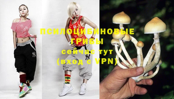 соль курить ск Верхний Тагил