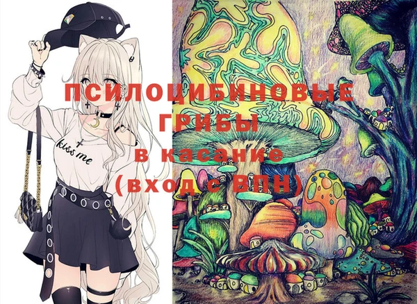 шишки Володарск