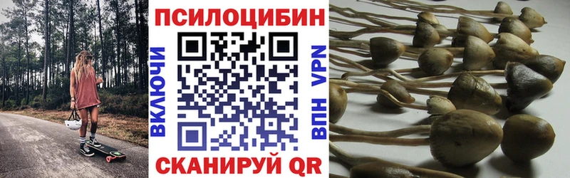 Галлюциногенные грибы мухоморы  Балаково 